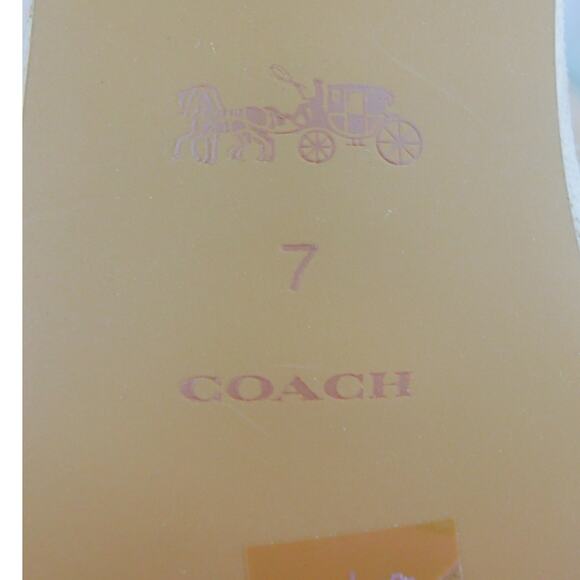 Coach Women's Regina Ankle Strap Sandals Beechwood Suede Heels Size 7 New - Picture 11 of 12